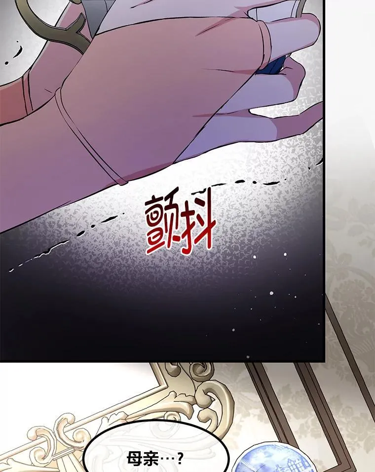 34.振兴帕西利亚 第63页