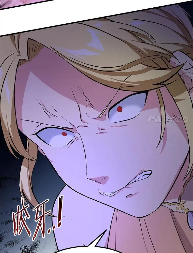 34.振兴帕西利亚 第107页