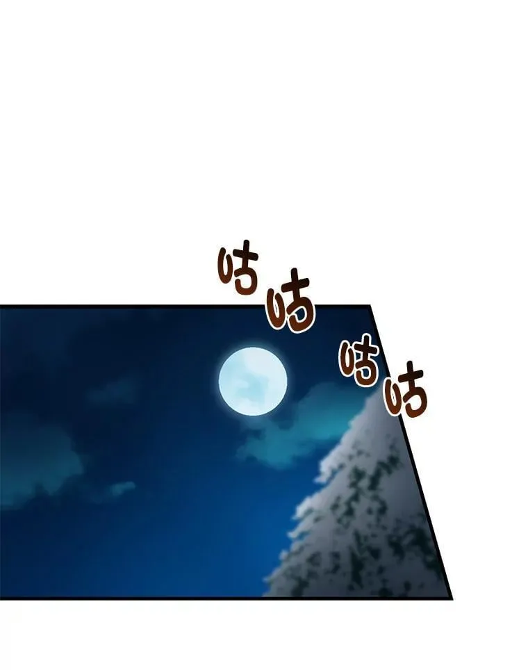 34.振兴帕西利亚 第116页