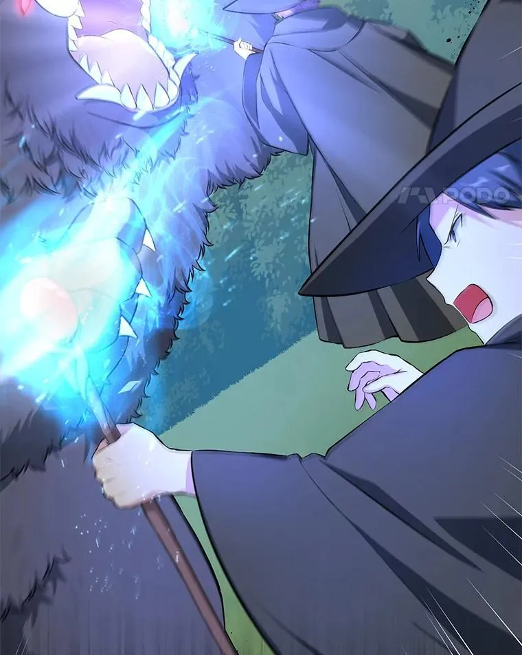 37.招募魔法师 第29页