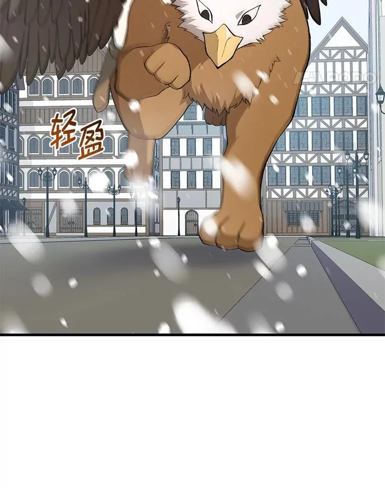 69.帕西利亚新城 第11页