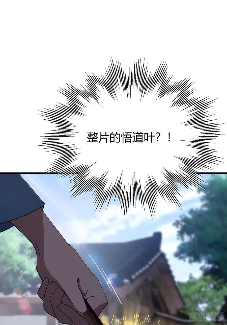 第26话 整片悟道叶泡的茶？ 第27页
