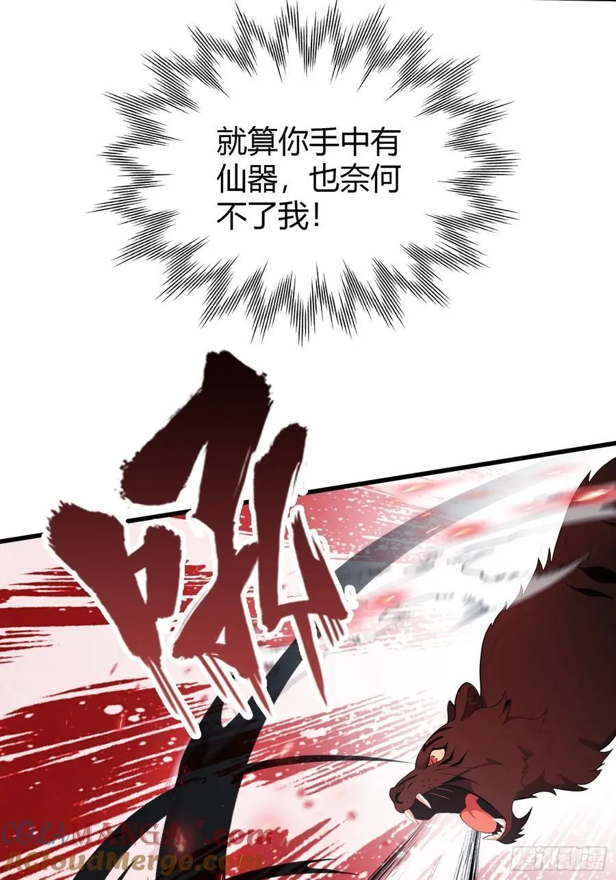 第102话 老虎也是猫？ 第5页