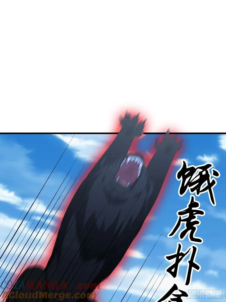 第102话 老虎也是猫？ 第13页