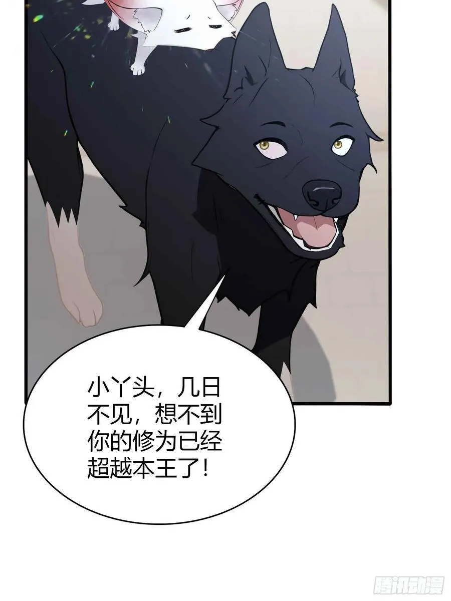 第181话 是自愿的就别眨眼！ 第6页