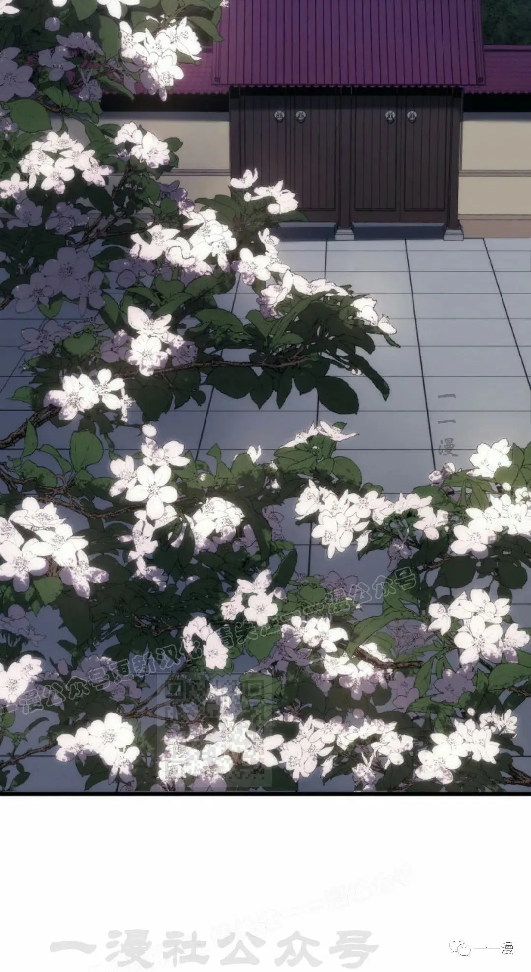 41 第28页