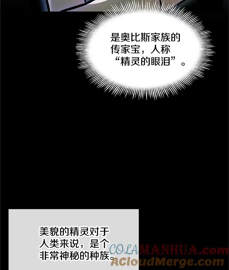 29.精灵的眼泪 第9页
