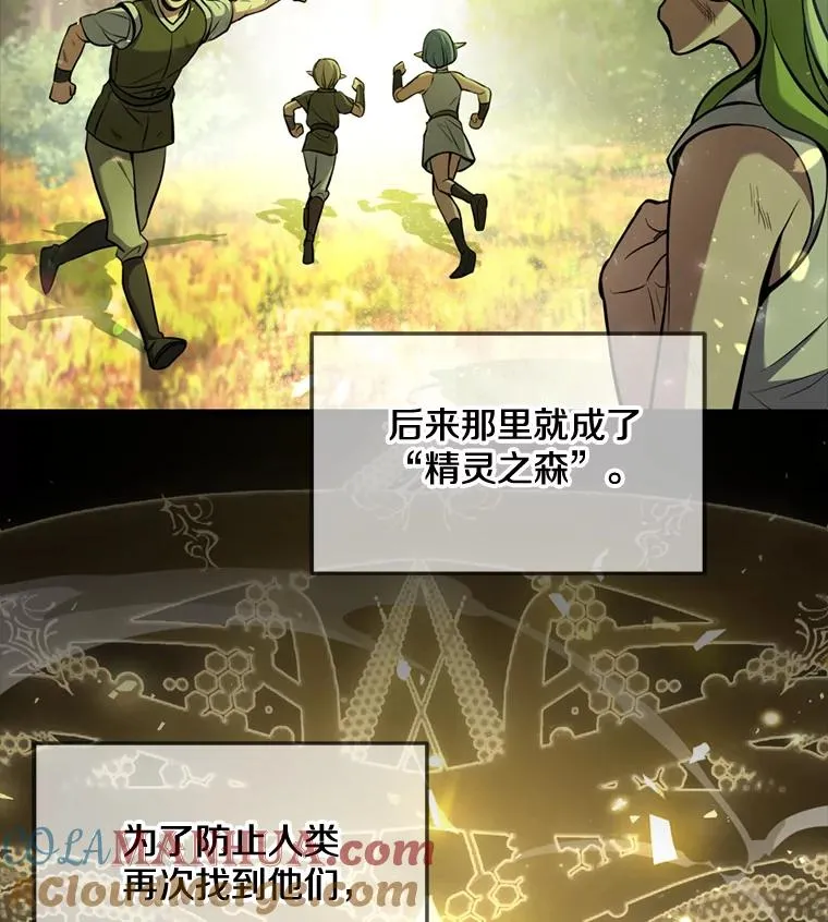 29.精灵的眼泪 第13页