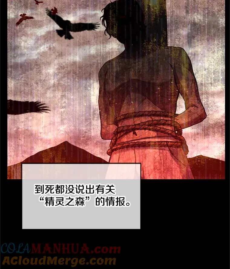 29.精灵的眼泪 第25页