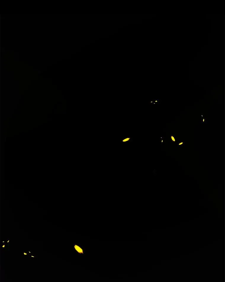 42.惩戒 第12页
