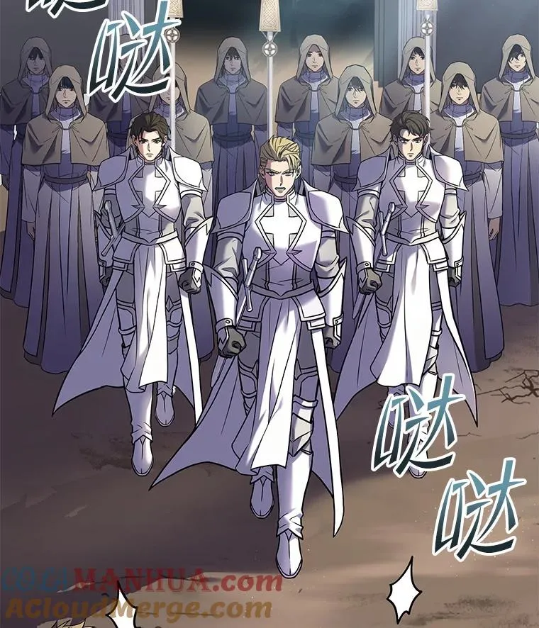 66.对战圣骑士 第73页