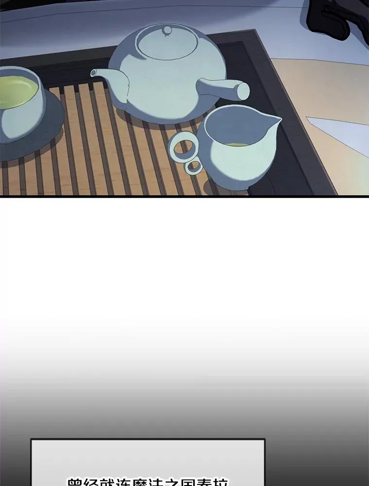 67.战斗魔法师 第100页