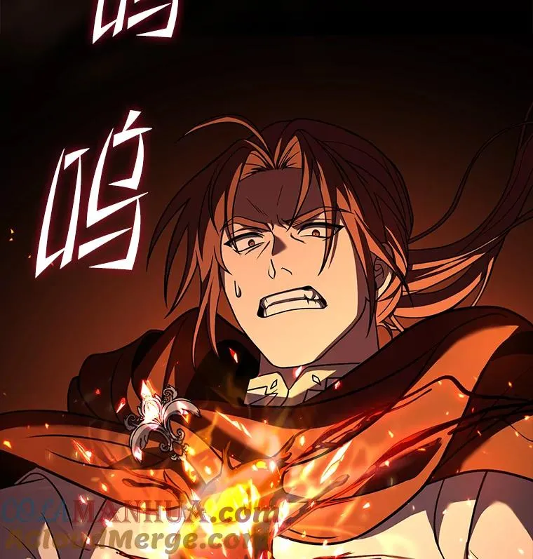78.新任莱因哈特之王 第13页