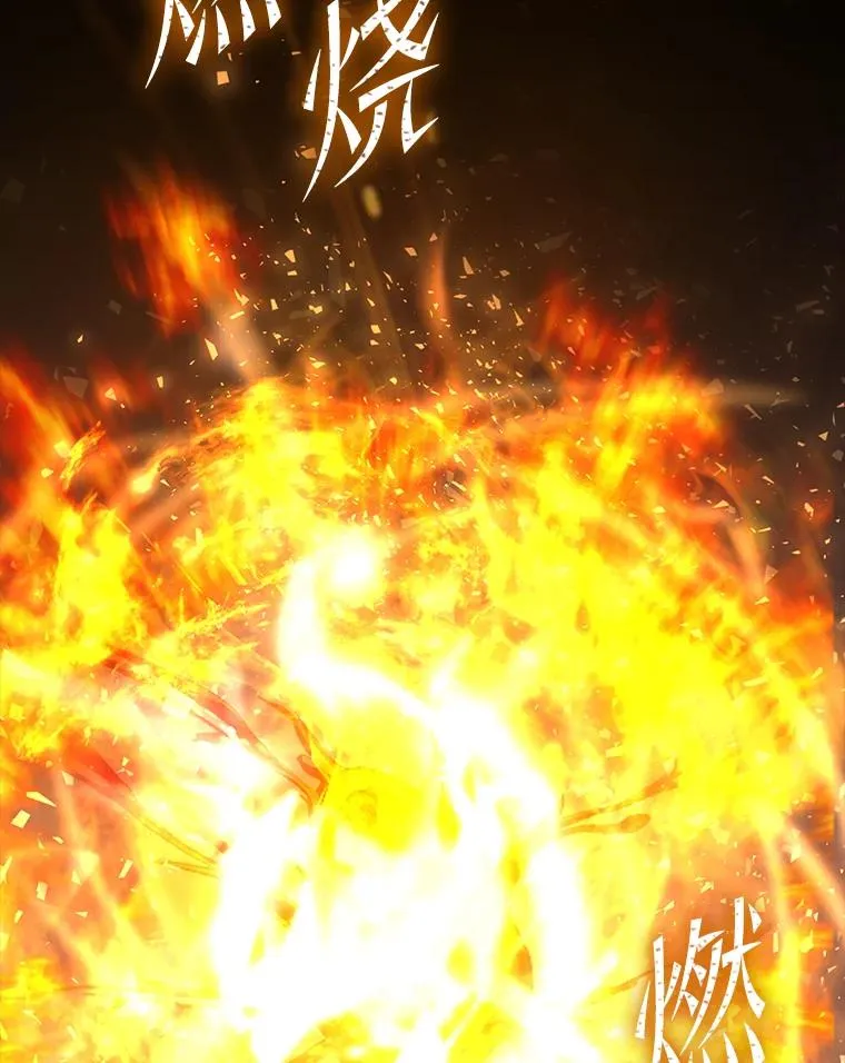 78.新任莱因哈特之王 第18页