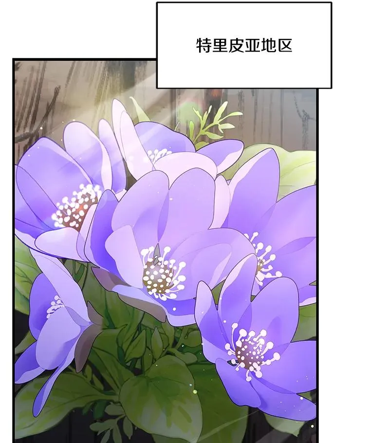 93.森德斯花 第142页