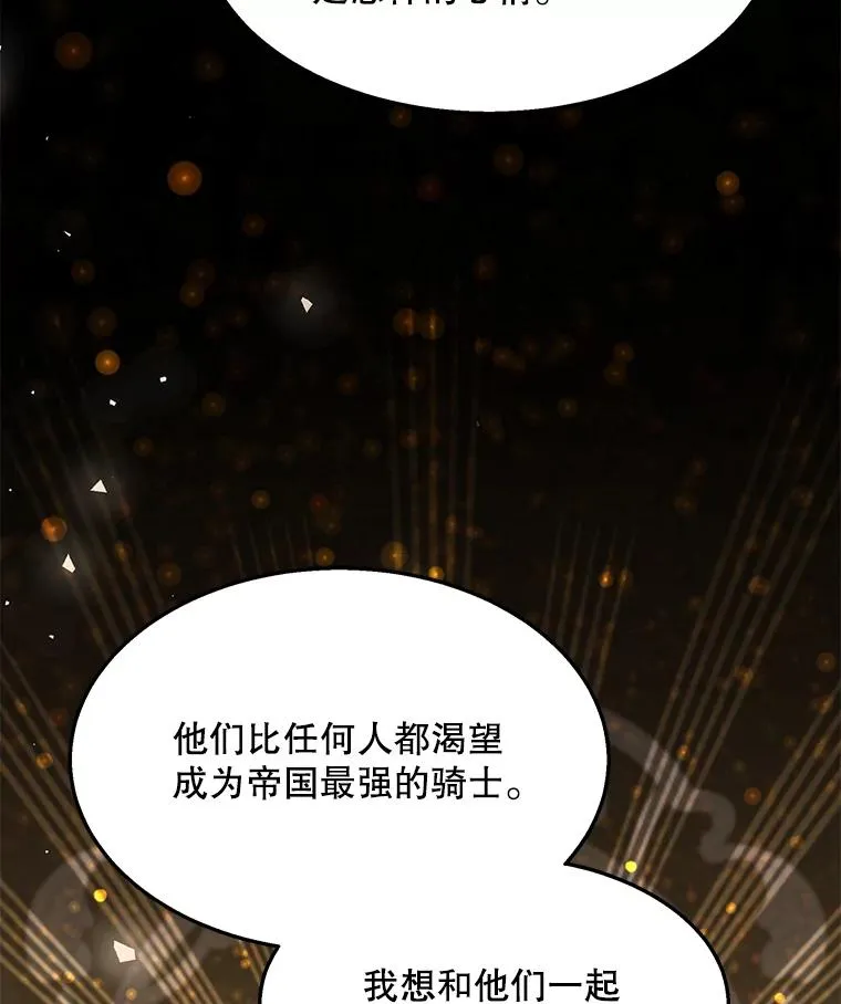 97.独立骑士团 第79页