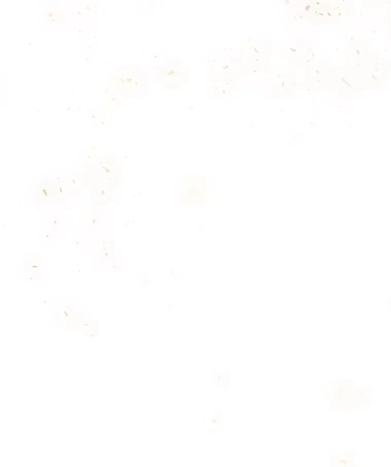 97.独立骑士团 第82页
