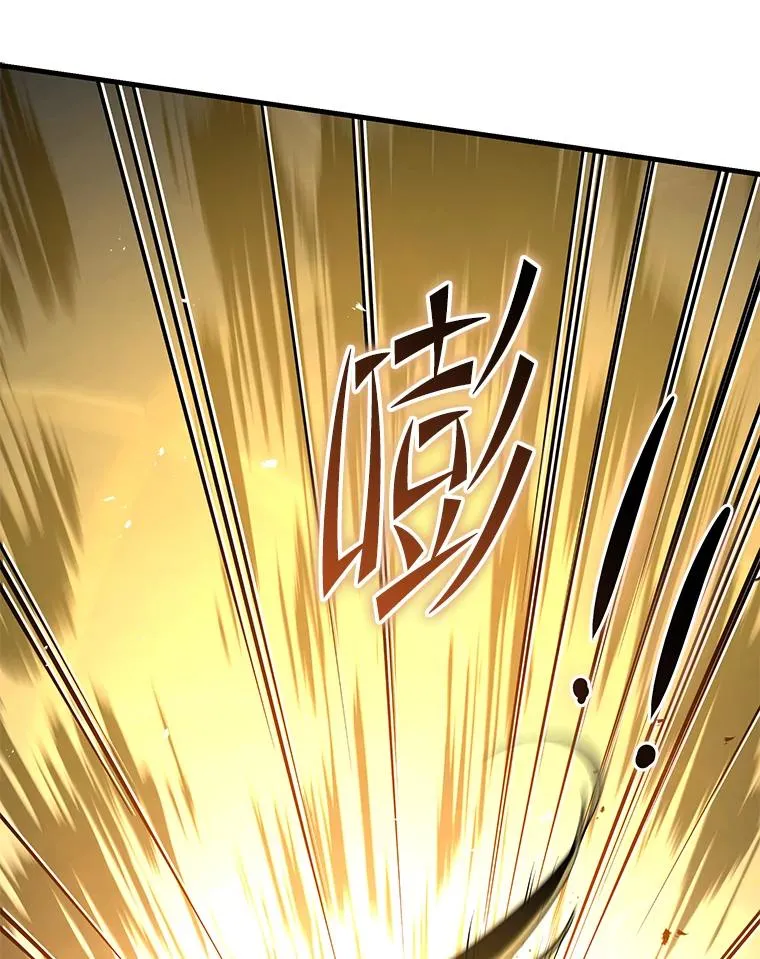 106.战斗魔法师 第146页