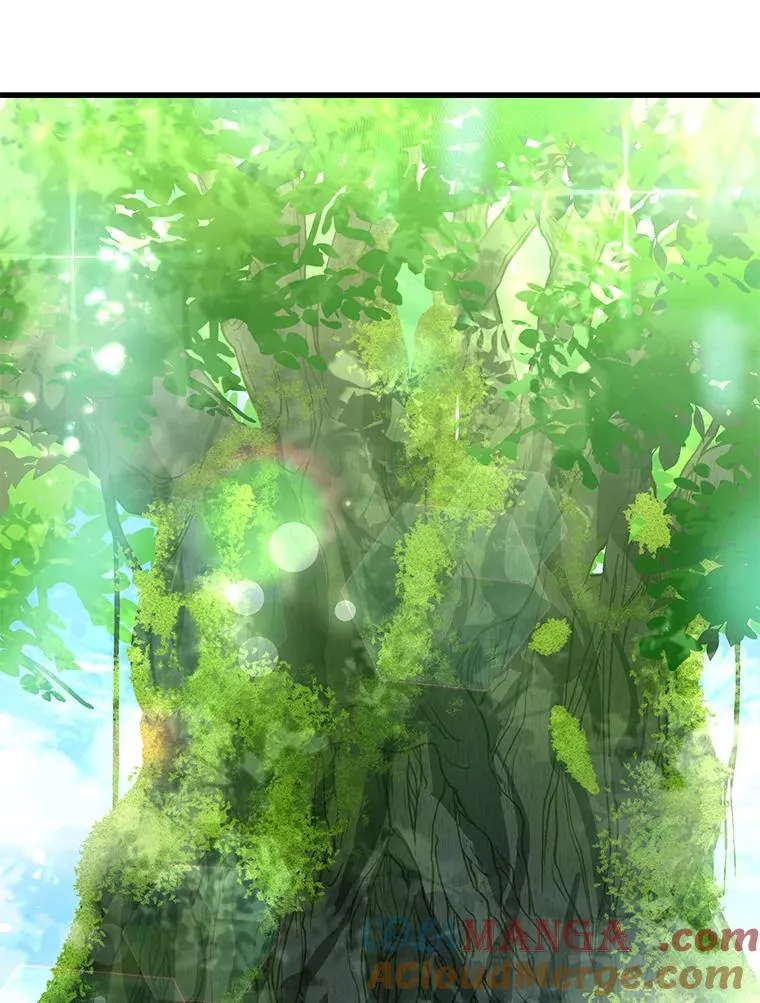 121.进攻精灵之森 第97页