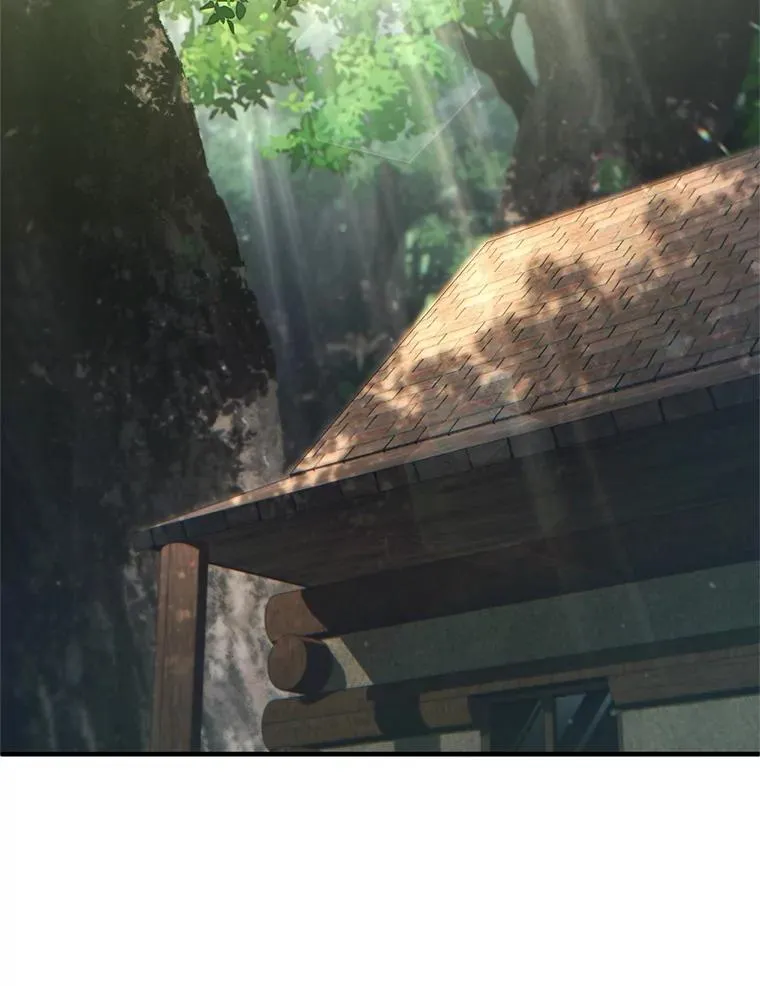 20.风之精灵王 第2页