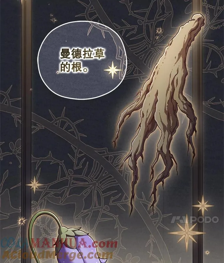 28.波列罗街 第21页