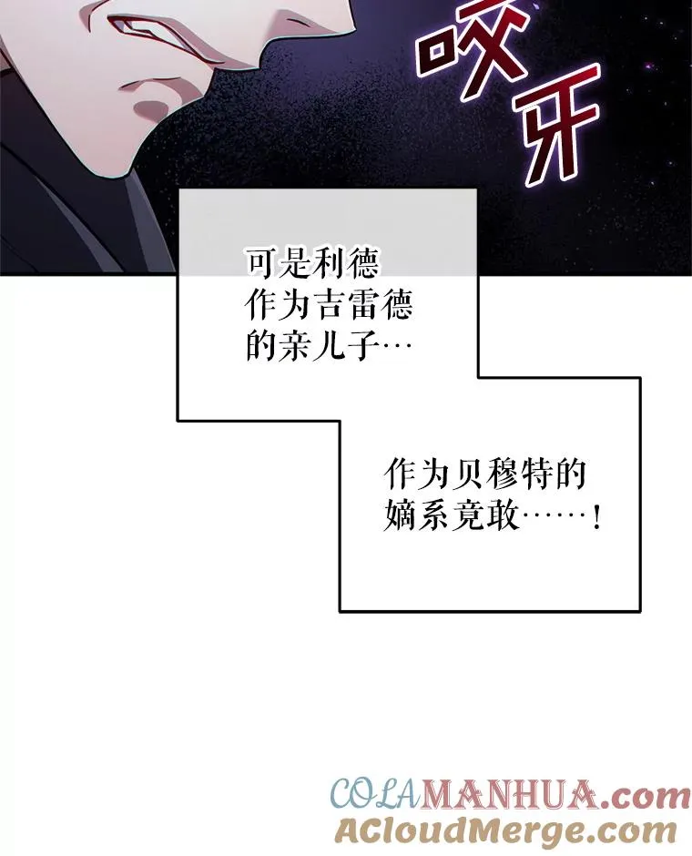 29.追踪利德 第117页