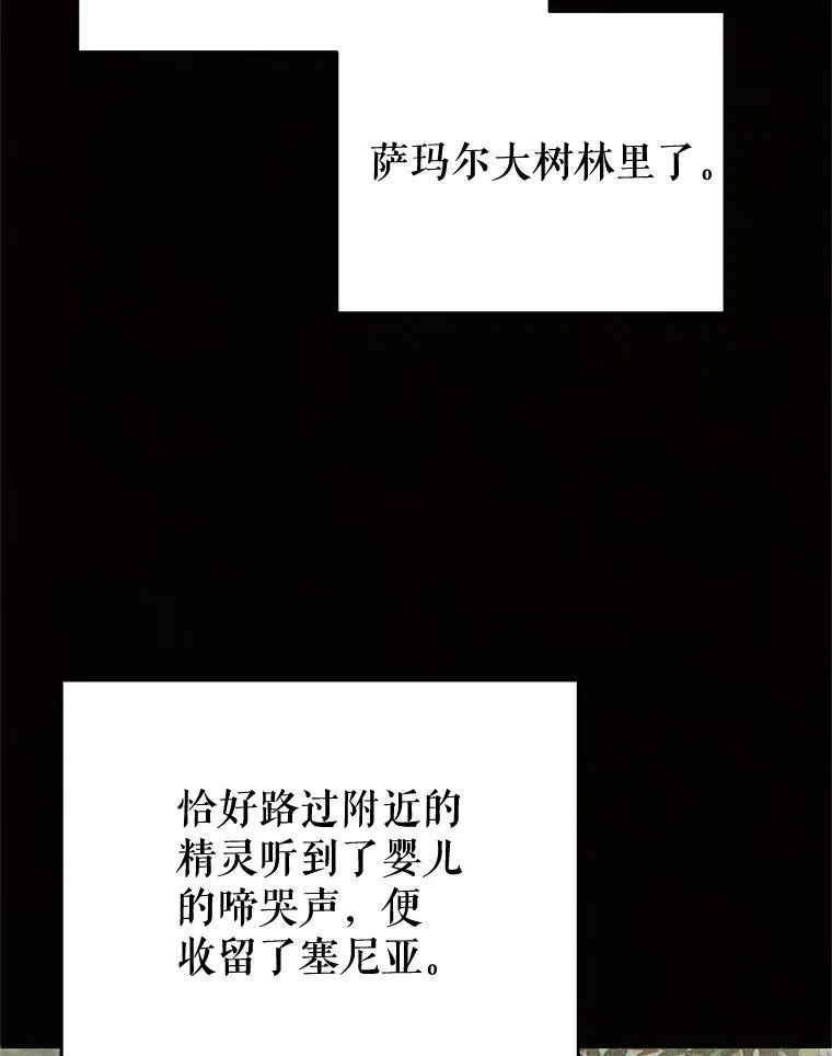 39.参观塞尼亚殿堂 第54页