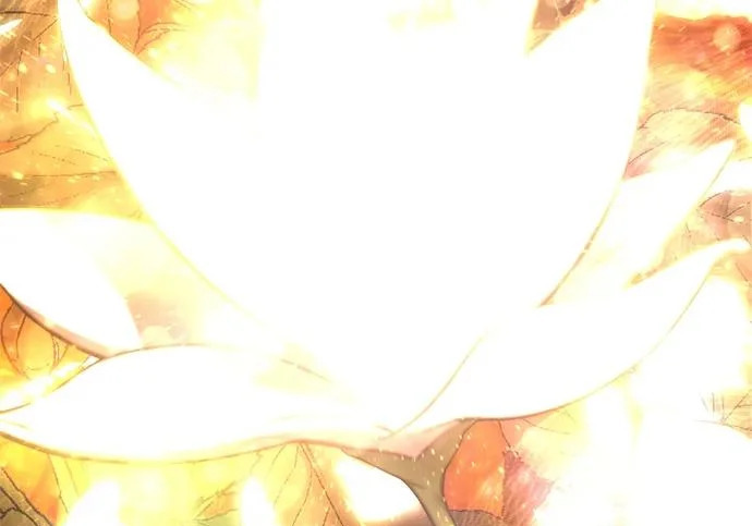 第113话 第71页
