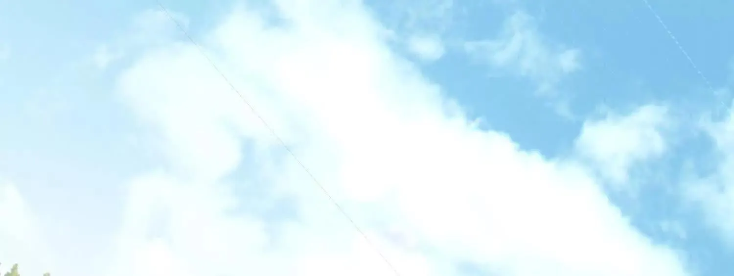 06顾家的邀请 第90页