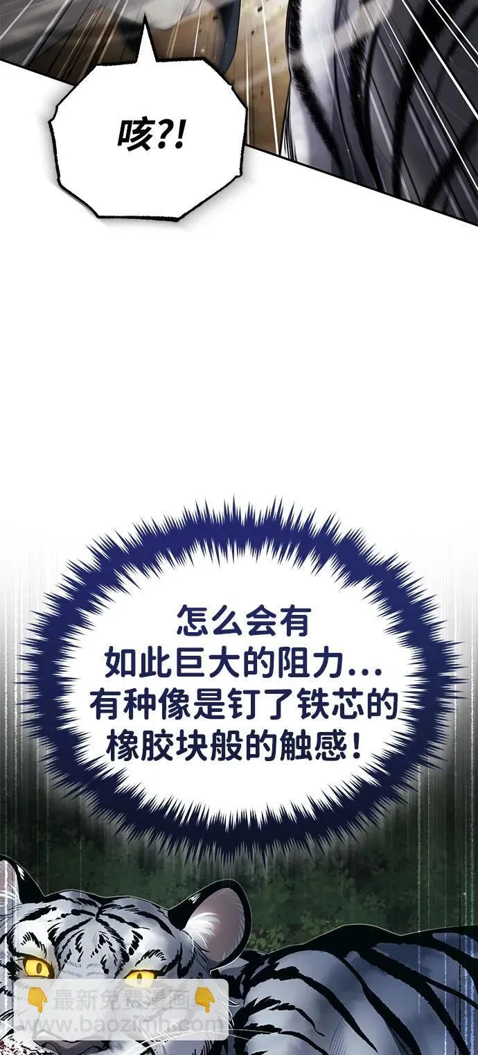 [第19话] 那不是普通的猛虎 第70页