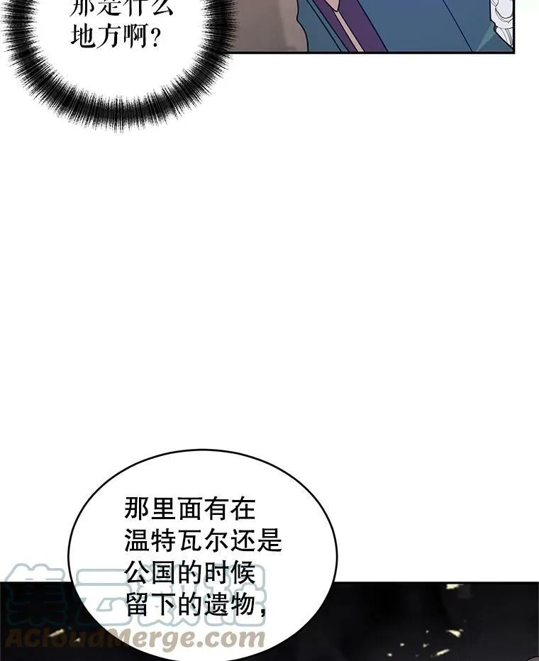 28.温特瓦尔的历史 第37页