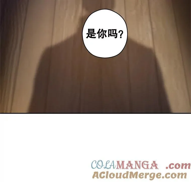 79.说服伊莎贝拉 第17页