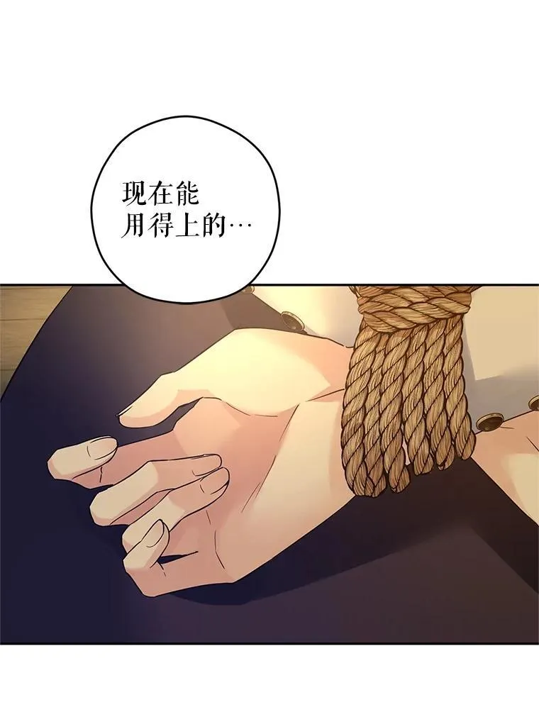102.卢卡前来营救 第63页