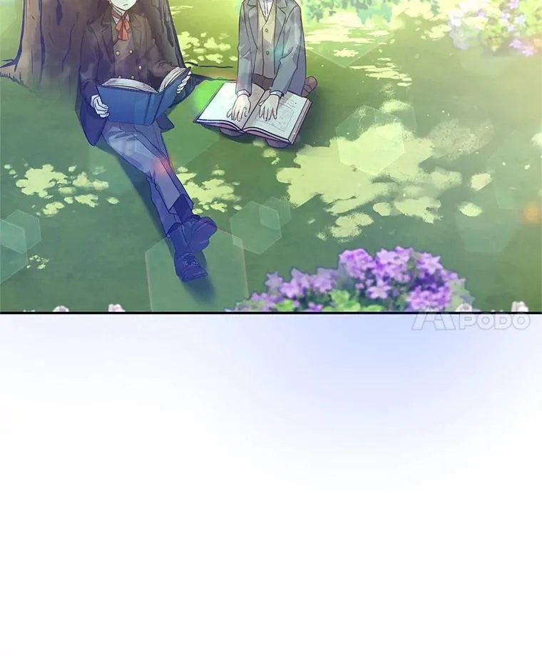 116.尘埃落定 第95页