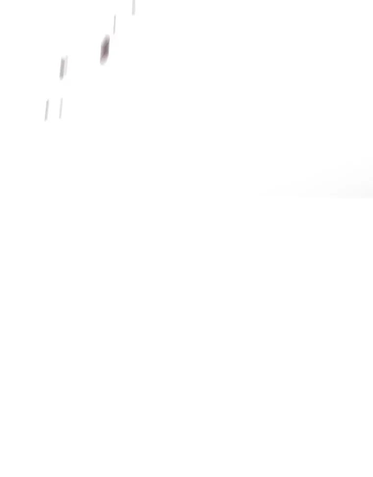 2.一言万绪 第63页