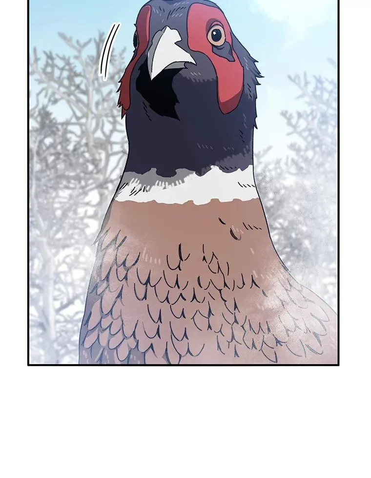 8.雪上小家 第42页