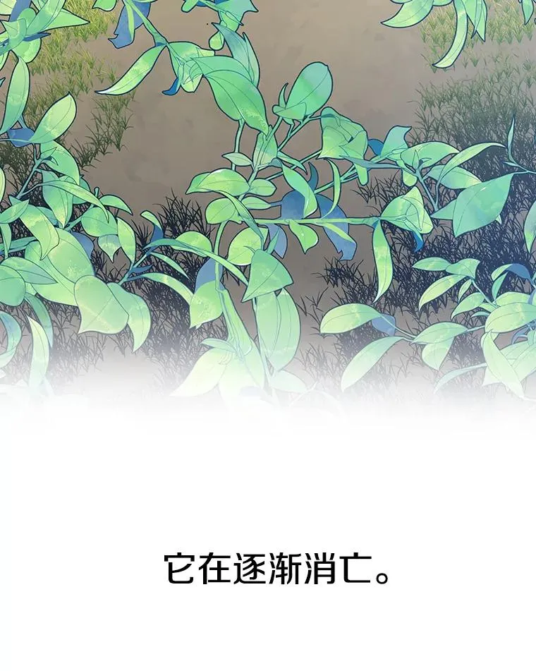 10.尘世神行 第126页