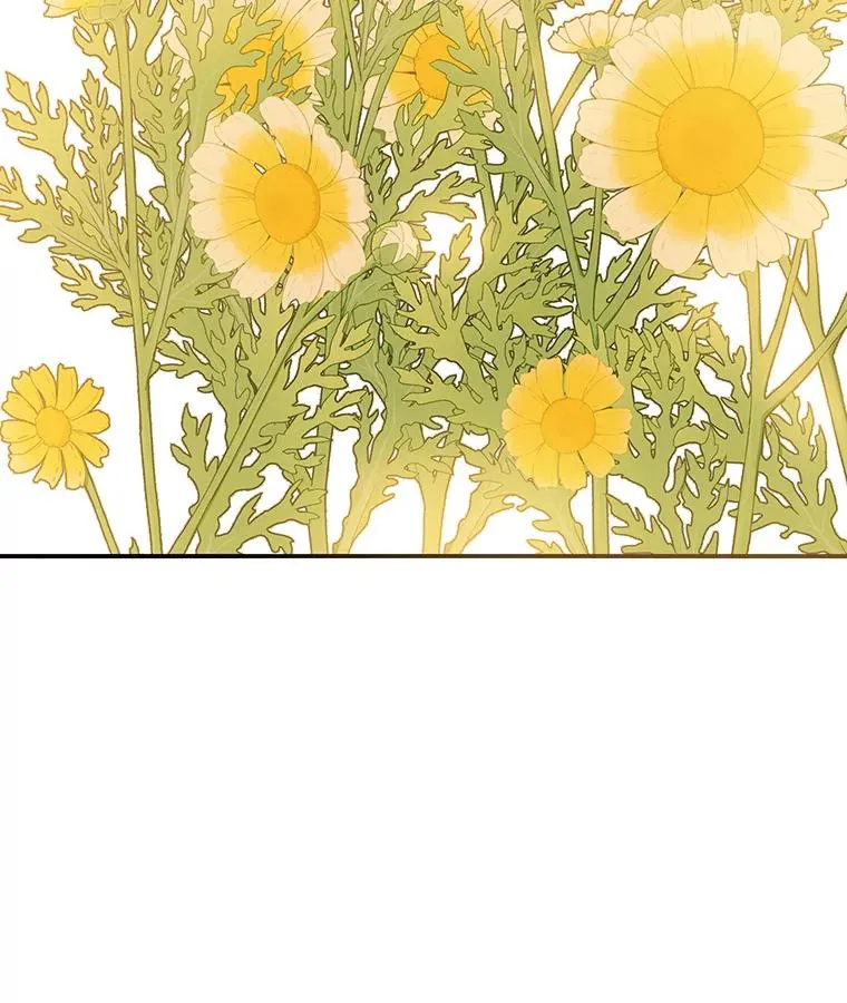 12.掌心的花 第115页