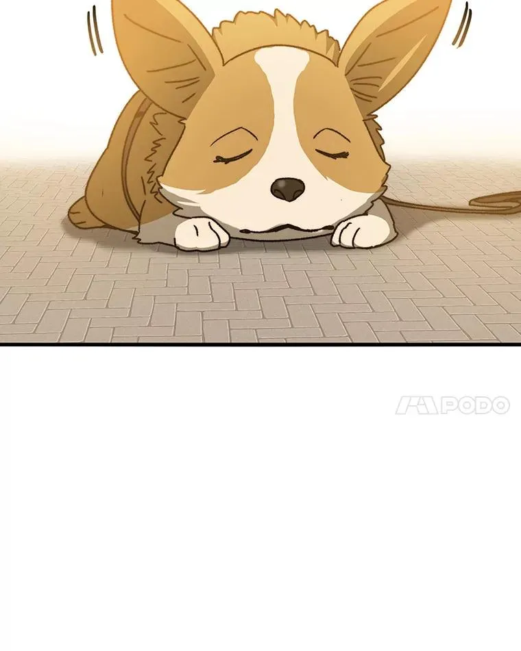 13.轻放敌意 第52页