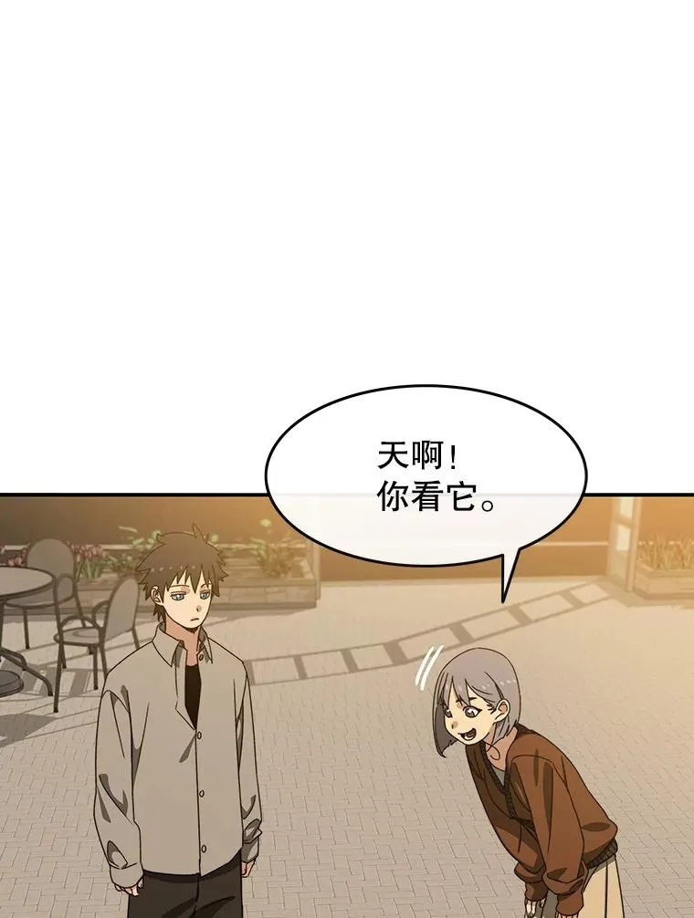 13.轻放敌意 第84页