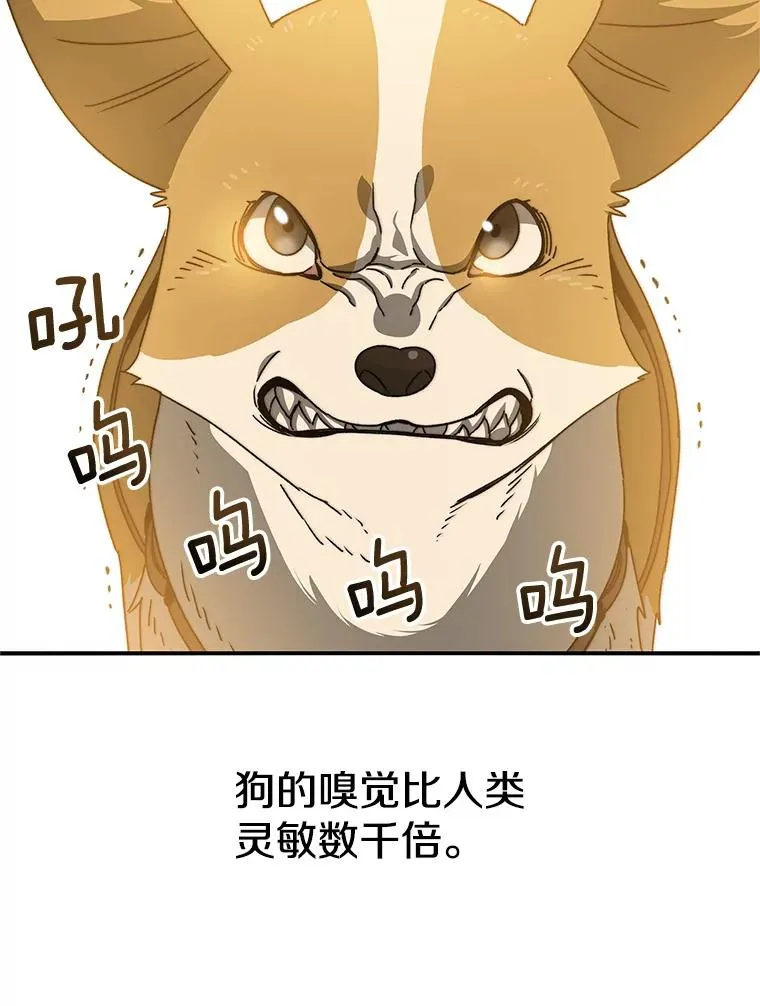 13.轻放敌意 第116页