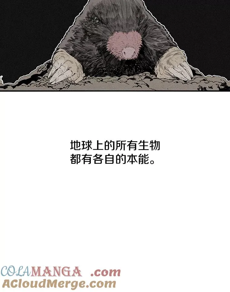 14.神的本能 第33页