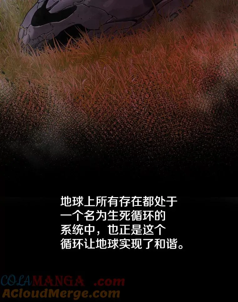 14.神的本能 第41页