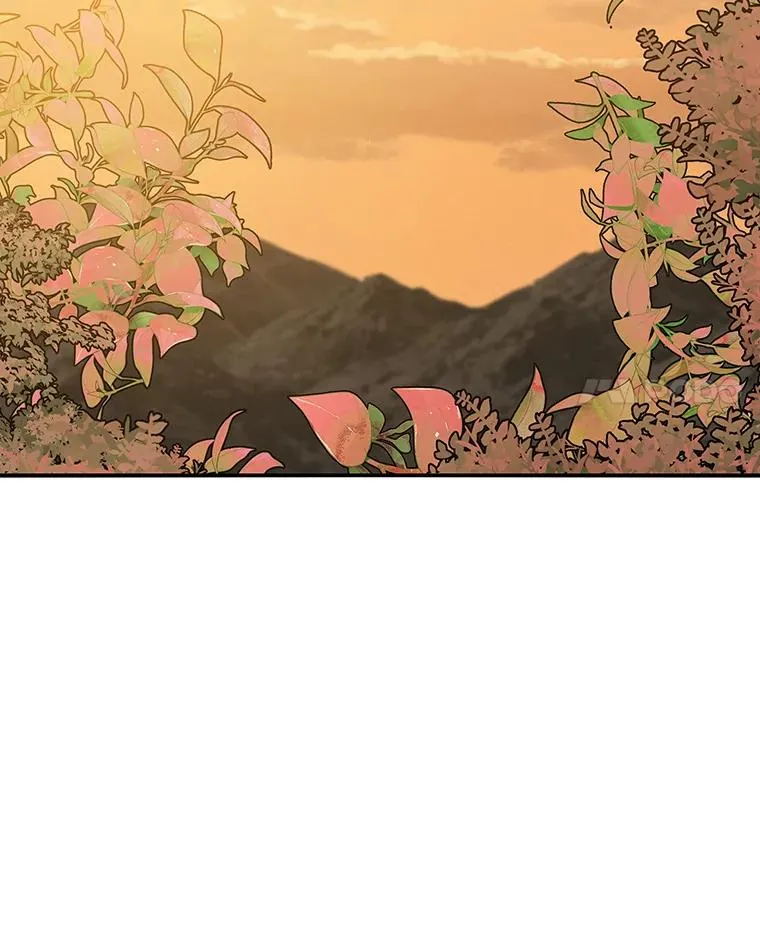 22.唯一的弱点 第24页