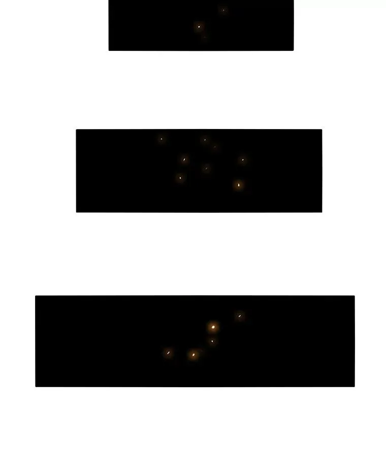 39.同体异心 第116页