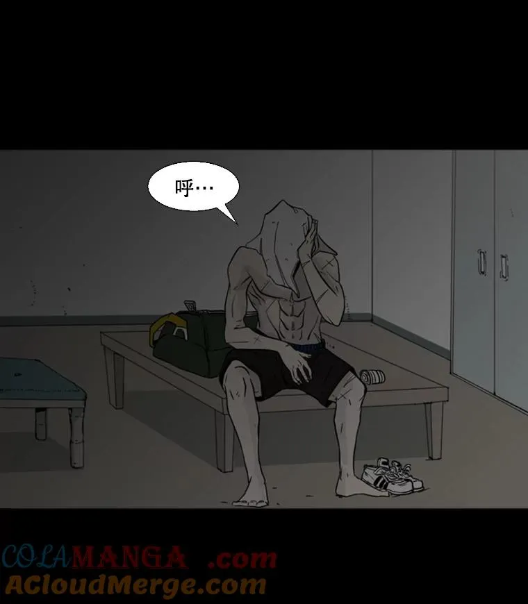 0.鲨鱼 第3页