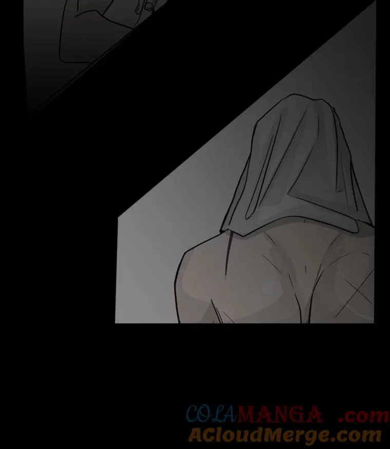 0.鲨鱼 第5页