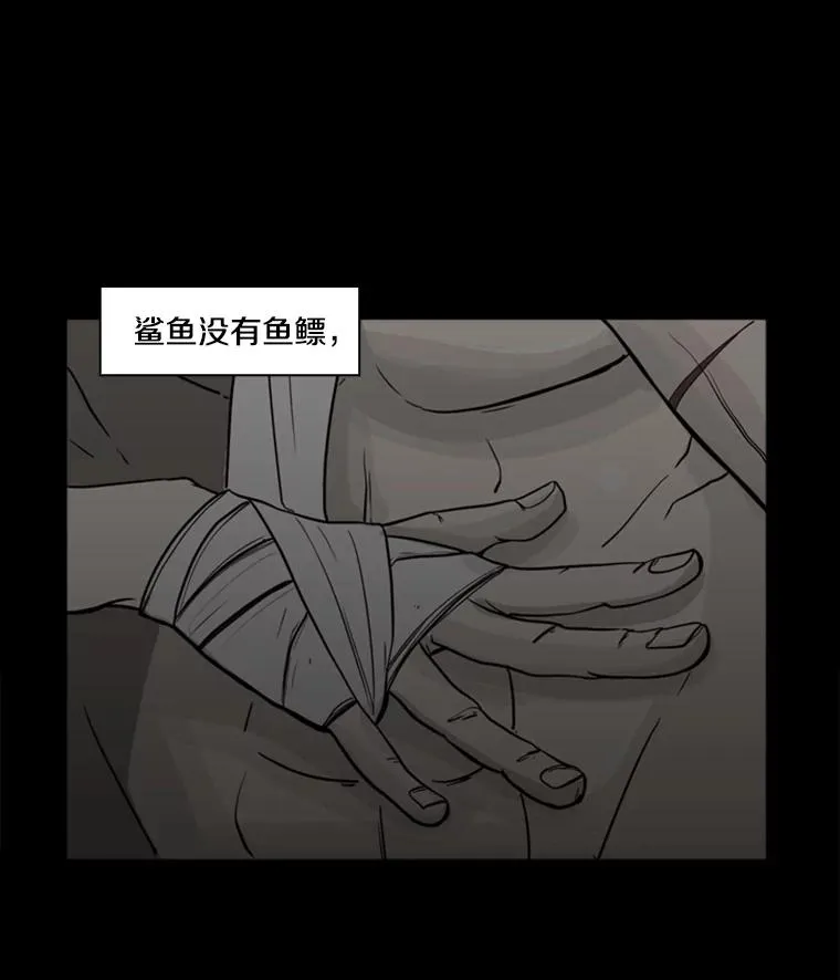 0.鲨鱼 第6页