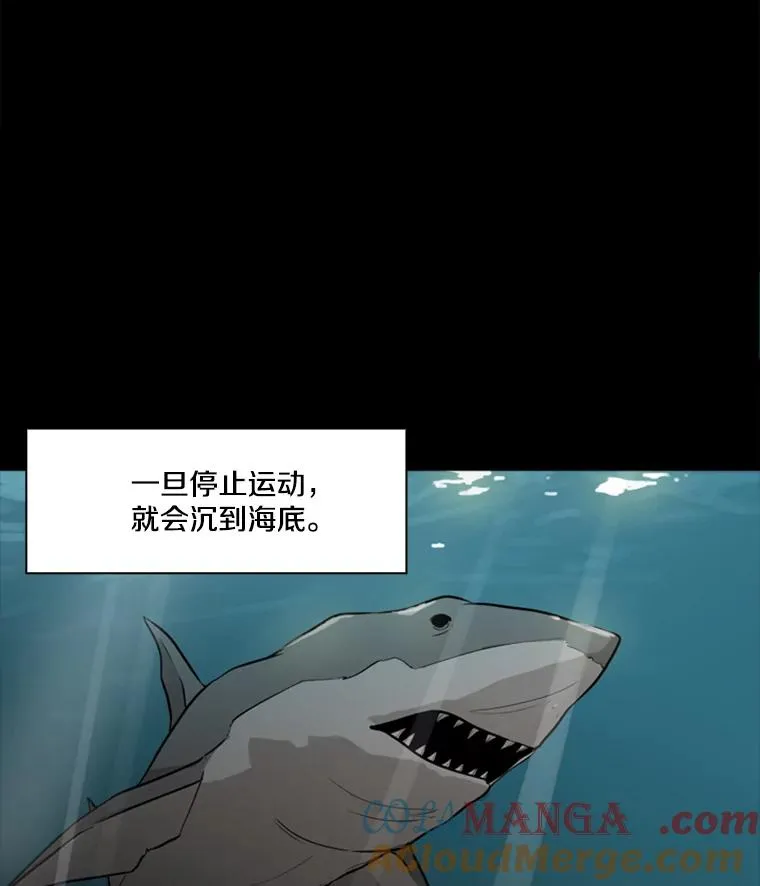 0.鲨鱼 第7页