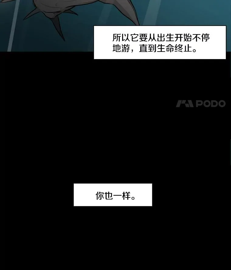 0.鲨鱼 第8页